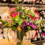 Vivant Lingerie